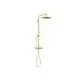 DORNBRACHT-Shower-Pipe-mit-Brause-Thermostat-SERIENSPEZIFISCH-34459980-Messing-gebuerstet-23kt-Gold-34459980-28 gallery number 1